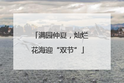 满园仲夏，灿烂花海迎“双节”