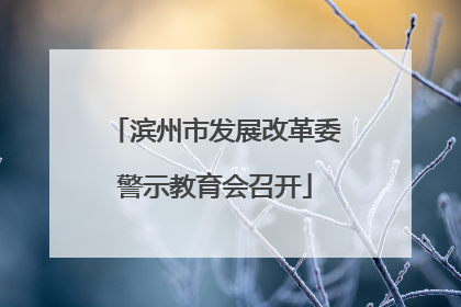 滨州市发展改革委警示教育会召开