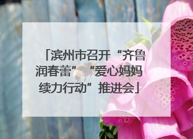 滨州市召开“齐鲁润春蕾”“爱心妈妈续力行动”推进会