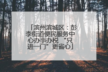 滨州滨城区：彭李街道便民服务中心办事办税 “只进一门”更省心