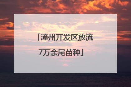 漳州开发区放流7万余尾苗种