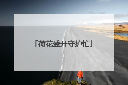 荷花盛开守护忙
