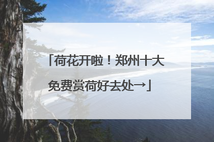 荷花开啦！郑州十大免费赏荷好去处→
