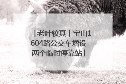 老叶较真丨宝山1604路公交车增设两个临时停靠站