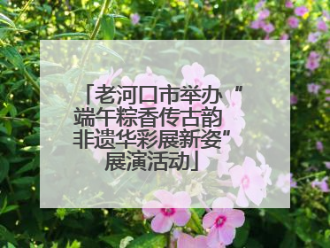 老河口市举办“端午粽香传古韵 非遗华彩展新姿”展演活动