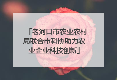 老河口市农业农村局联合市科协助力农业企业科技创新