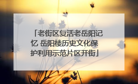 老街区复活老岳阳记忆 岳阳楼历史文化保护利用示范片区开街