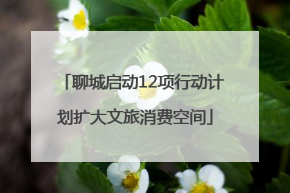 聊城启动12项行动计划扩大文旅消费空间