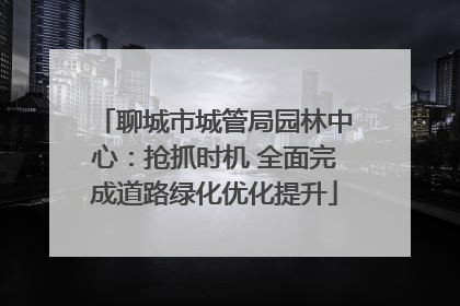 聊城市城管局园林中心：抢抓时机 全面完成道路绿化优化提升