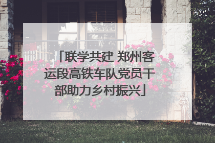 联学共建 郑州客运段高铁车队党员干部助力乡村振兴