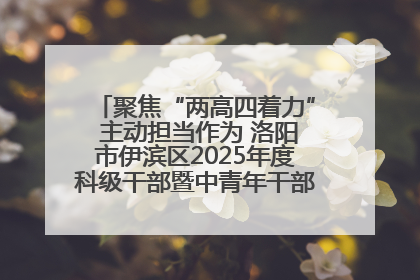 聚焦“两高四着力” 主动担当作为 洛阳市伊滨区2025年度科级干部暨中青年干部培训班开班