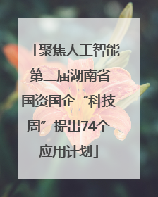 聚焦人工智能 第三届湖南省国资国企“科技周”提出74个应用计划