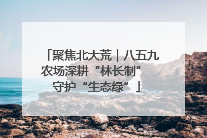 聚焦北大荒｜八五九农场深耕“林长制” 守护“生态绿”
