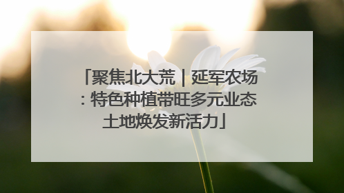 聚焦北大荒｜延军农场：特色种植带旺多元业态 土地焕发新活力