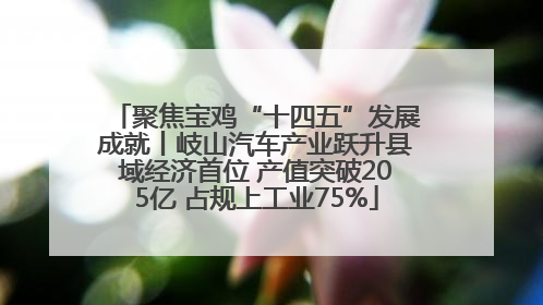 聚焦宝鸡“十四五”发展成就丨岐山汽车产业跃升县域经济首位 产值突破205亿 占规上工业75%