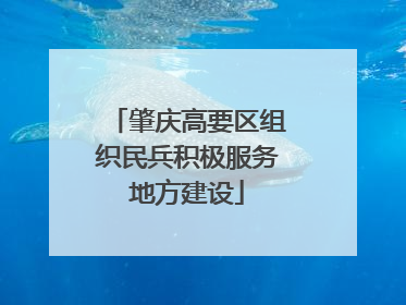 肇庆高要区组织民兵积极服务地方建设