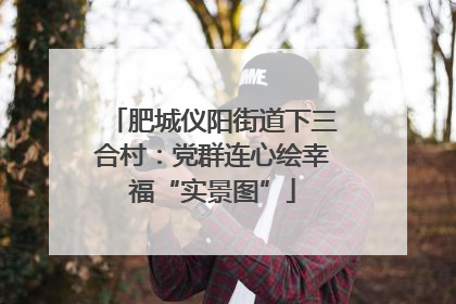 肥城仪阳街道下三合村：党群连心绘幸福“实景图”