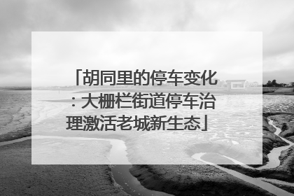 胡同里的停车变化：大栅栏街道停车治理激活老城新生态