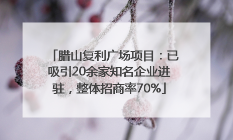 腊山复利广场项目：已吸引20余家知名企业进驻，整体招商率70%