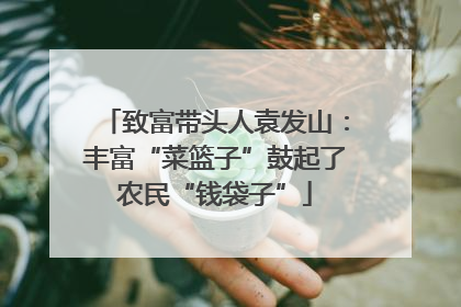 致富带头人袁发山：丰富“菜篮子”鼓起了农民“钱袋子”