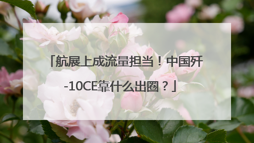 航展上成流量担当！中国歼-10CE靠什么出圈？