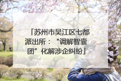 苏州市吴江区七都派出所：“调解智囊团”化解涉企纠纷