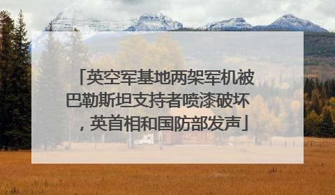 英空军基地两架军机被巴勒斯坦支持者喷漆破坏，英首相和国防部发声