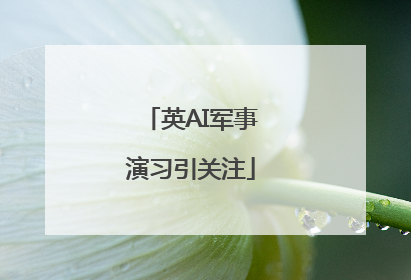 英AI军事演习引关注