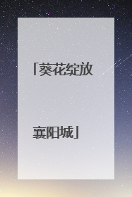 葵花绽放襄阳城