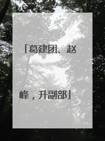 葛建团、赵峰，升副部