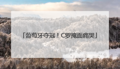 葡萄牙夺冠！C罗掩面痛哭