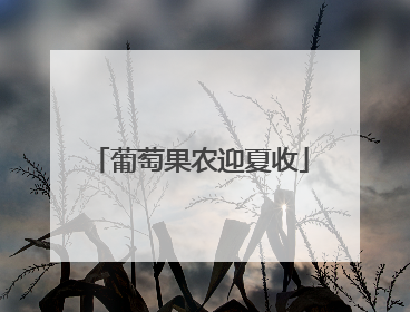 葡萄果农迎夏收