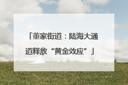董家街道：陆海大通道释放“黄金效应”