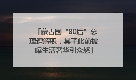 蒙古国“80后”总理遭解职,其子此前被曝生活奢华引众怒