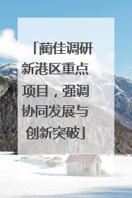 蔺佳调研新港区重点项目，强调协同发展与创新突破