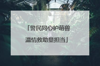 警民同心护萌兽 温情救助显担当