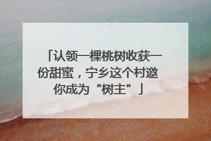 认领一棵桃树收获一份甜蜜，宁乡这个村邀你成为“树主”