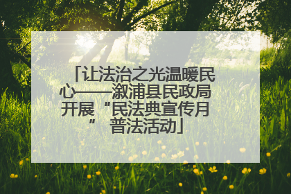 让法治之光温暖民心——溆浦县民政局开展“民法典宣传月” 普法活动