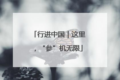 行进中国｜这里，“参”机无限