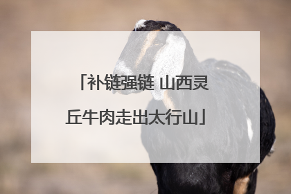 补链强链 山西灵丘牛肉走出太行山