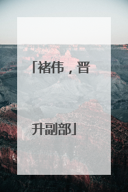 褚伟，晋升副部
