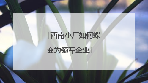 西南小厂如何蝶变为领军企业