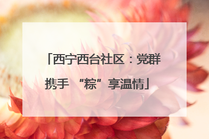 西宁西台社区：党群携手 “粽”享温情