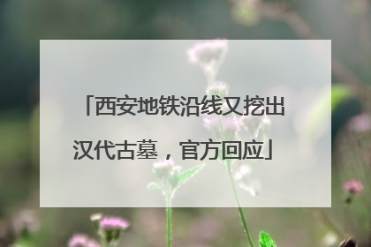西安地铁沿线又挖出汉代古墓，官方回应