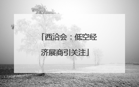西洽会：低空经济展商引关注