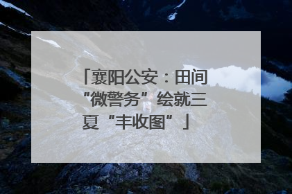襄阳公安：田间“微警务”绘就三夏“丰收图”
