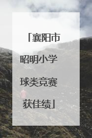 襄阳市昭明小学球类竞赛获佳绩