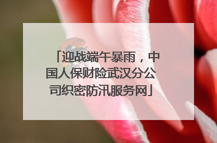 迎战端午暴雨，中国人保财险武汉分公司织密防汛服务网