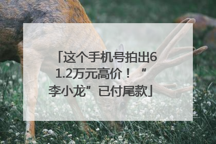 这个手机号拍出61.2万元高价！“李小龙”已付尾款
