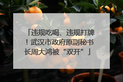 违规吃喝、违规打牌！武汉市政府原副秘书长周大鸿被“双开”